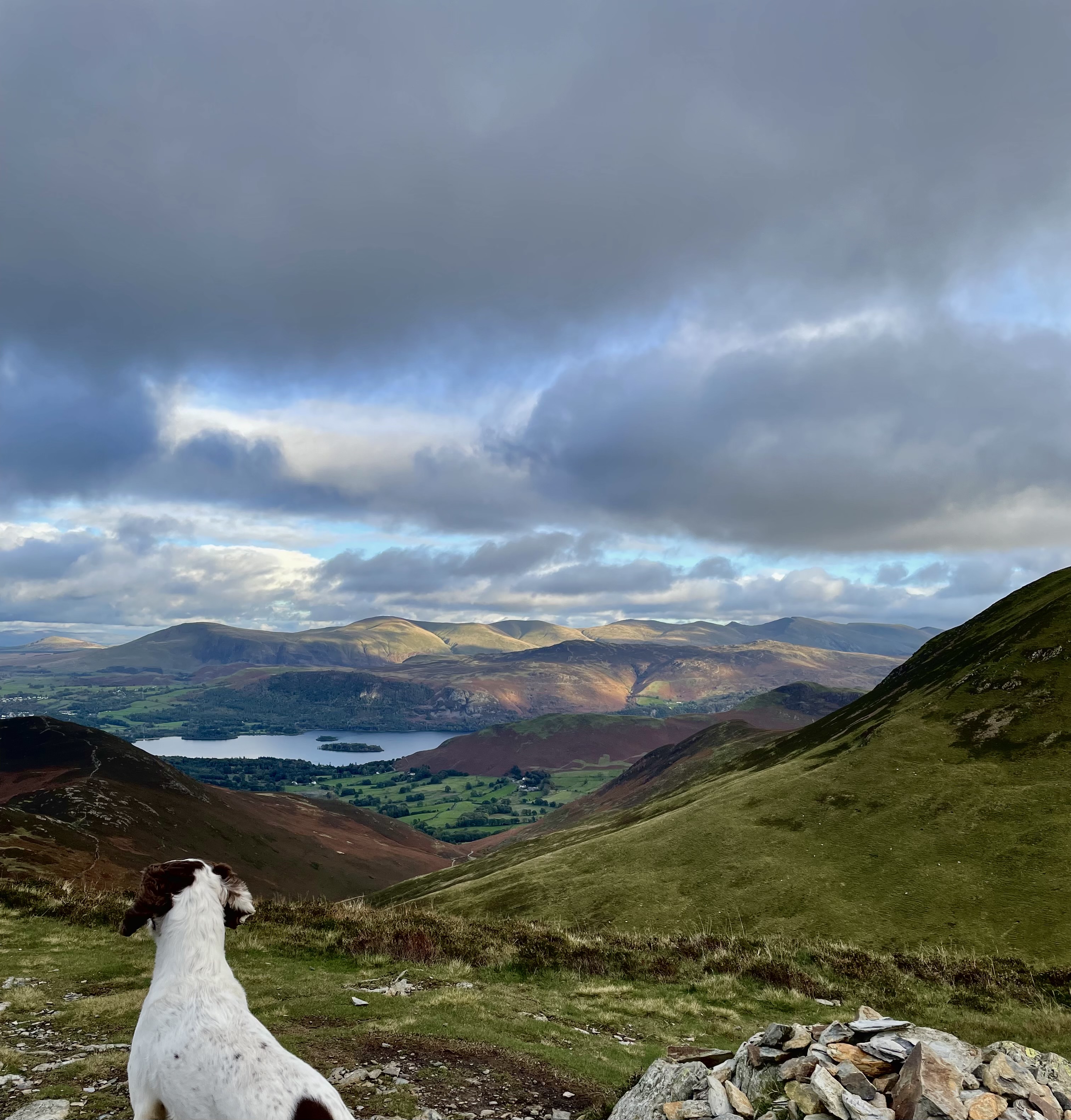 Looking over Derwent Water from Barrow, Lake District. 