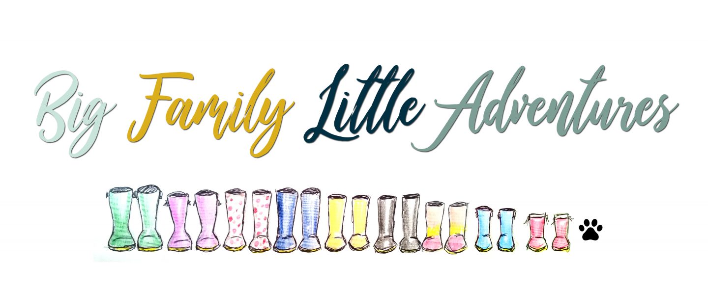 big family little adventures Logo